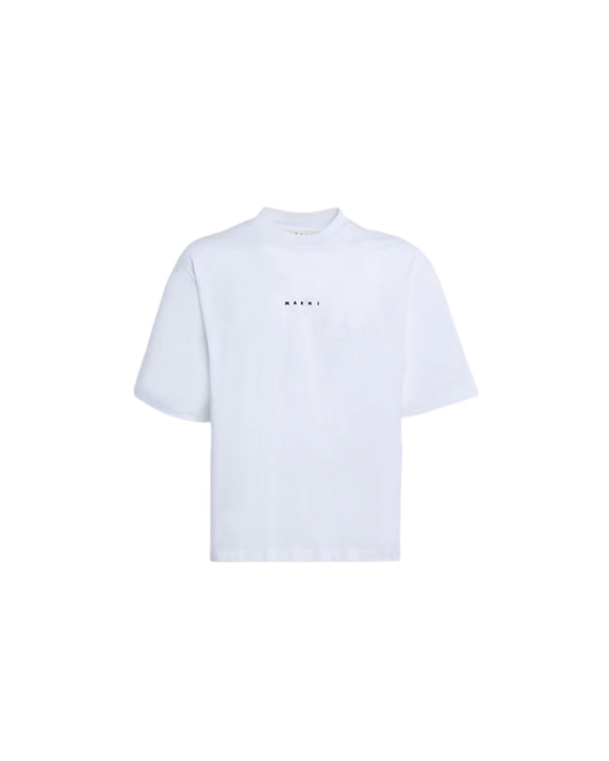 画像1189