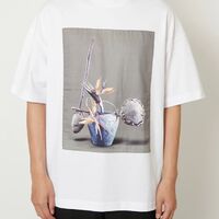 画像773